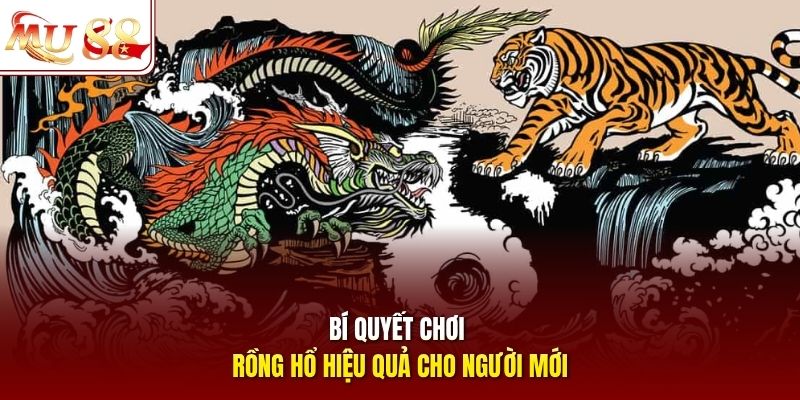 Bí quyết chơi Rồng Hổ hiệu quả cho người mới