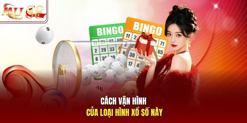 Cách vận hành của loại hình xổ số này