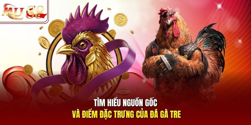 Tìm hiểu nguồn gốc và điểm đặc trưng của đá gà tre